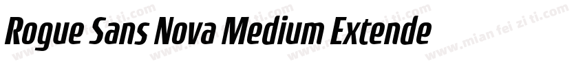 Rogue Sans Nova Medium Extended字体转换